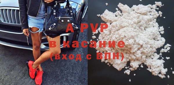 крисы Алексин