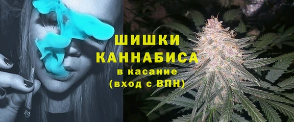 spice Алзамай
