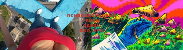 скорость Алексеевка